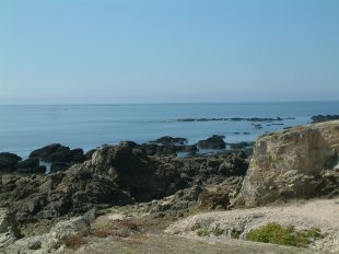 Cte sauvage: Petite plage dans les criques