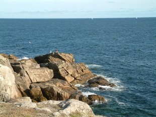 Cte sauvage: Petite plage dans les criques