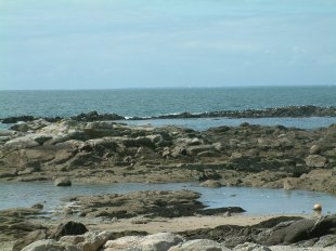 Cte sauvage: Petite plage dans les criques