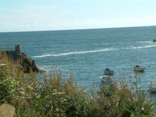 Cte sauvage: Petite plage dans les criques