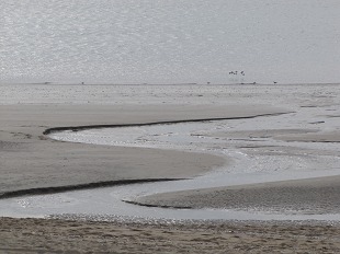 Plage de La  Baule