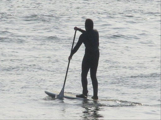 Paddle