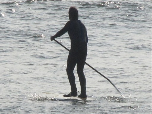 Paddle