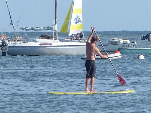 Paddle