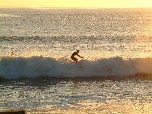 Surfeur sur la vague
