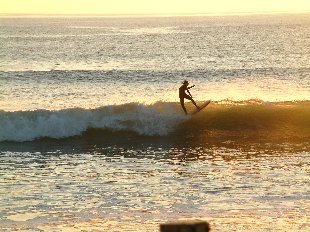 Surfeur sur la vague