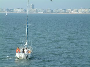 Voile