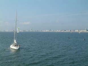 Voilier