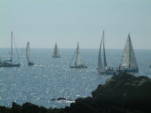 Bateaux à voile