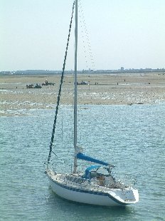 Voilier