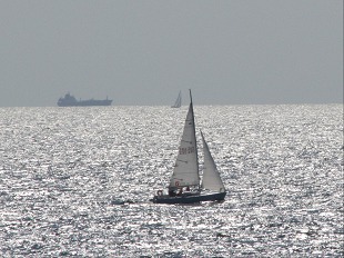 Voilier