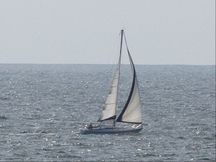 Voilier