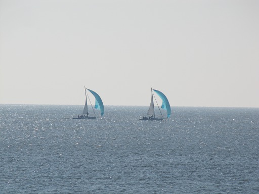 Voiliers au spi