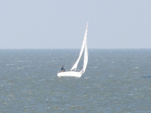 Voilier