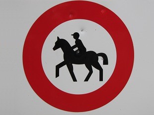 Equitation