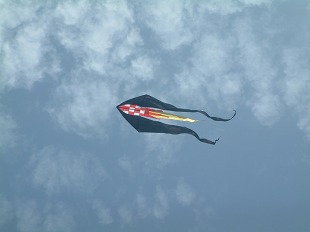 Cerf Volant