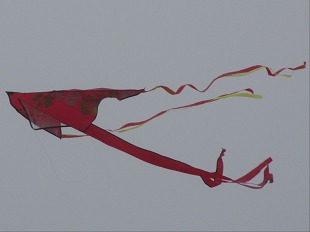 Cerf Volant