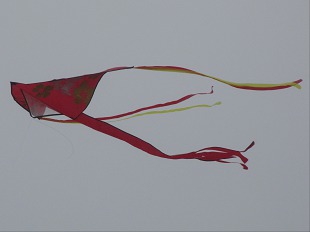 Cerf Volant