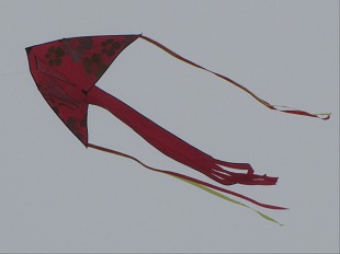 Cerf Volant