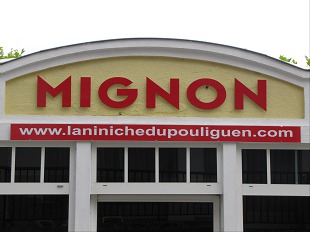 Niniches du Pouliguen