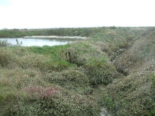 Ruisseau et écluse