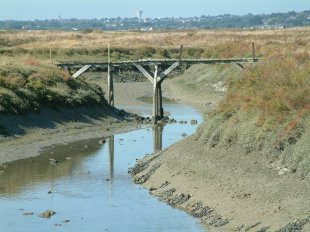Marais Salants - Ruisseau