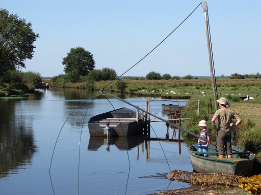 Pêche dans les Marais Salants de Brière