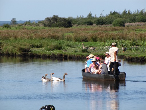Promenade en barque dans les Marais Salants de Brière