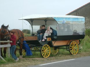 Visite en  calèche