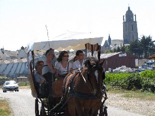 Visite en  calèche