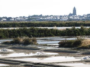 Marais Salants - Batz sur Mer