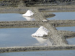 Marais Salants