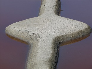 Marais Salants