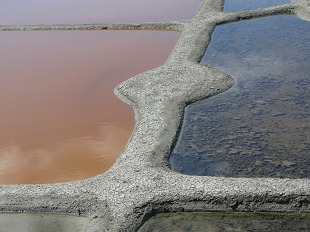 Marais Salants