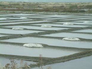 Marais Salants - sel