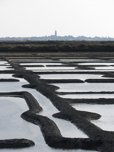 Marais Salants - Batz sur Mer