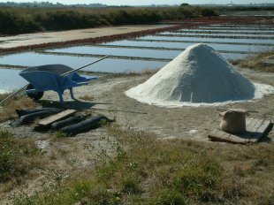 Marais Salants: Travail du Sel