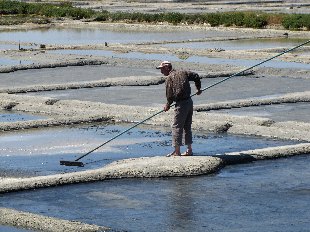 Marais Salants: Travail du Sel