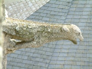 Gargouille de l'église de Batz sur Mer