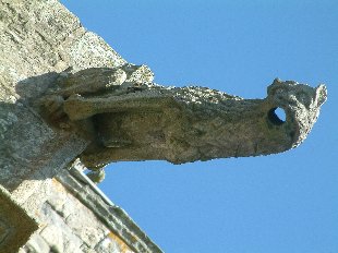 Gargouille