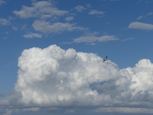 Ciel nuageux