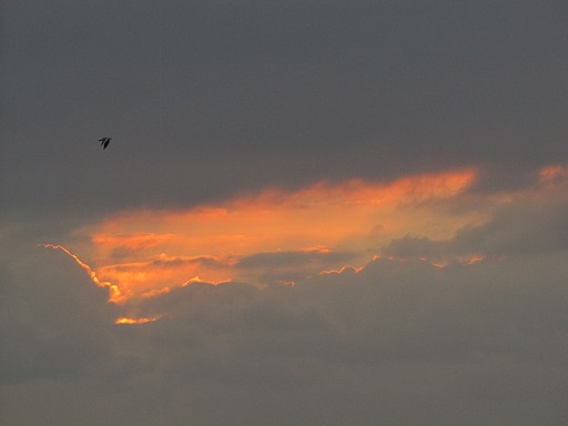 Coucher de soleil