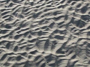Sable