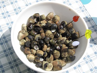 Bol de Bigorneaux