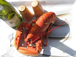 Homard et vin blanc