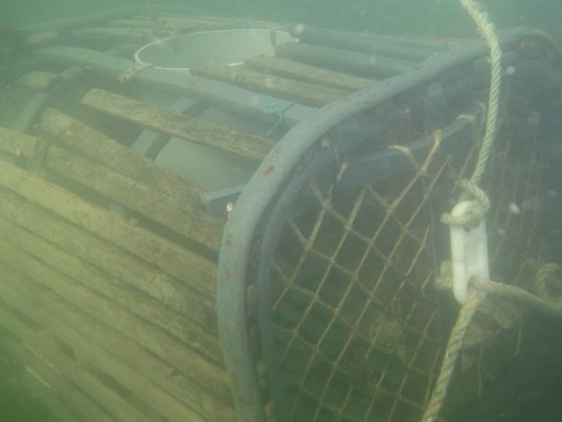 Casier de pêche