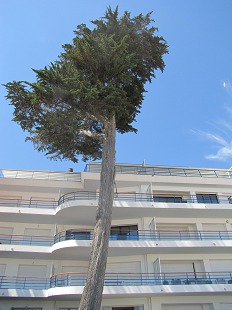 Immeuble en front de mer