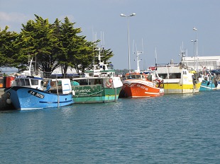 Bateaux de pêche du Croisic